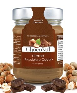 Jar of Choconut Cream with gianduja flavour, around hazelnuts and chocolate squares.