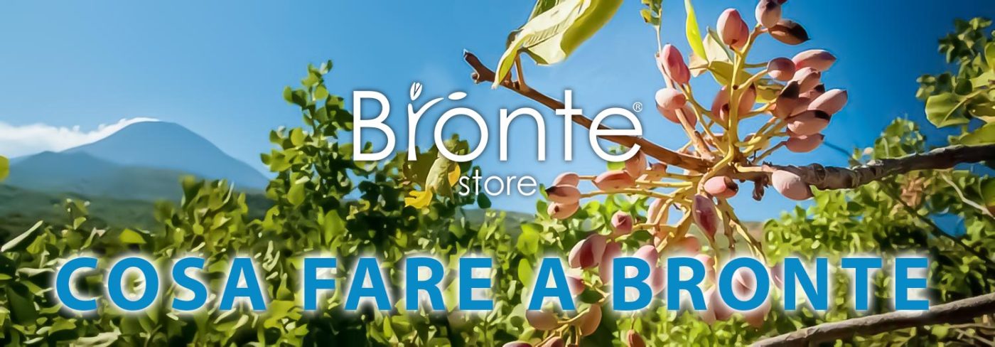 Branch of a pistachio plant with ripe fruit, in the background smoking Etna. In the foreground the inscription 'WHAT TO DO IN BRONTE'.