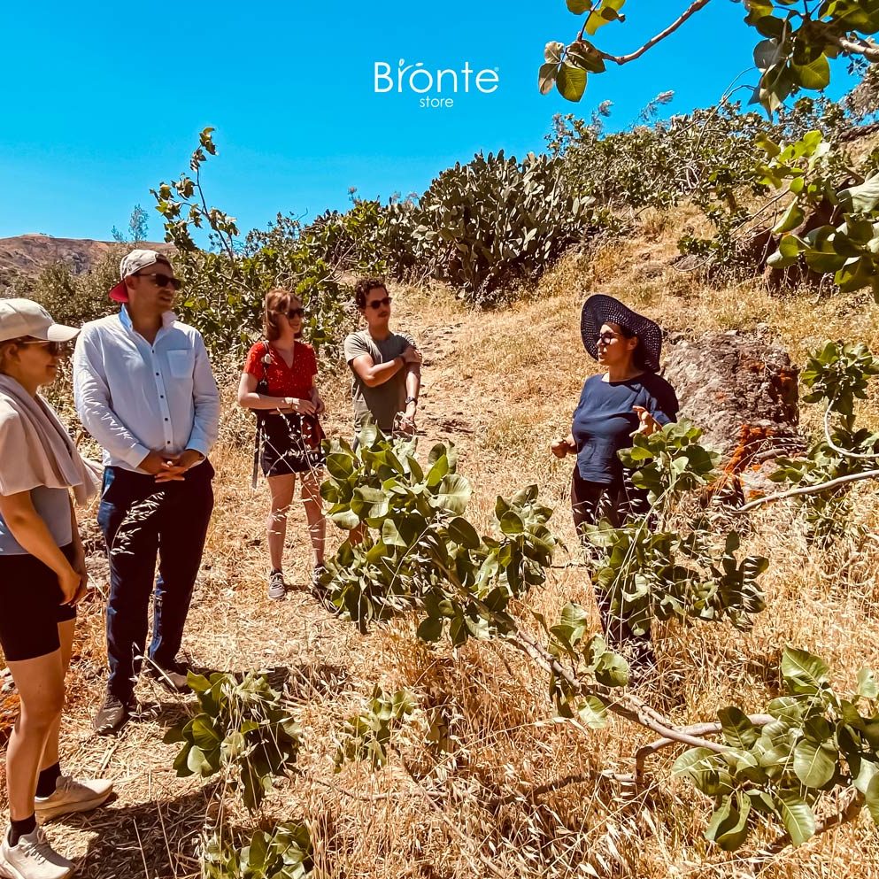 Tour Antico pistacchieto a Bronte con degustazione - Image 2