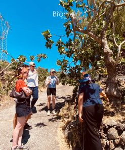 Tour Antico pistacchieto a Bronte con degustazione - Image 6