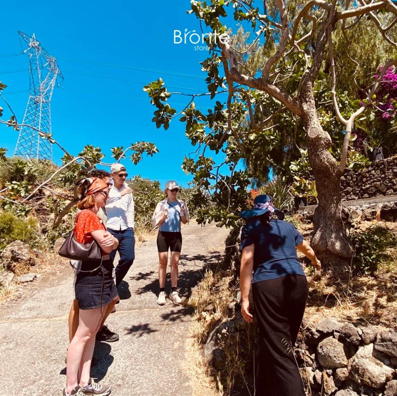 Tour of an ancient pistachio grove in Bronte with tasting